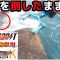 【エギング】春のアオリイカが釣れた矢先にタモをやられた（春イカ）（エギ王K）（フラッシュフラッシュブースト）（パタパタ）
