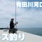 【夏キス2024】今年の有田川河口は釣れるのか⁉︎ 天丼の具材を求めていざ、和歌山へ‼︎ R6.5.20【大輔のとことん投げ釣り塾】