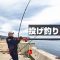 【北海道釣り】投げ釣りで春のカレイを釣る