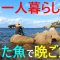 【小豆島】一人暮らしの夏…釣った魚で晩ご飯【海釣り】