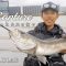 【シーバス攻略】夏シーバスは台風の後で。Day SeaBass Game [To Capture] #fieldlab #vlog #fishing #seabass #daiwa #psc