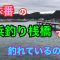 秋本番の豊浜釣り桟橋で釣れているのは？知多半島 豊浜漁港