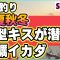 【キス釣り】春夏秋冬　良型キスが潜む　牡蠣イカダ