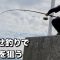 秋の瀬戸内堤防 泳がせ釣りで青物を狙う 2024年10月