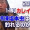 2024秋11月のカレイ調査！３年もの塩ホンムシ１キロで挑む！　【魚神の釣りいかれへんわ】