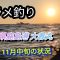 ヒラメ釣り 2024 鹿島港 大春丸