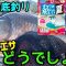 【釣り】夏カクシン　どうでしょう【へらぶな釣り】