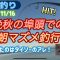 【秋田釣り】秋終盤の埠頭はダイソーのアレが強かった 2024/11/16