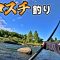 夏日の翌日が急に極寒！この温度差でハコスチは釣れるのか？群馬県吾妻川釣行