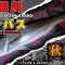 隅田川秋のシーバス釣り、明暗攻略編！