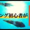 [エギング　アオリイカ　イカ釣り]エギング初心者🔰がその辺の漁港で秋イカを狙いに来たら…？