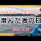 【和歌山串本】後半 　河田フィッシング　アンカー年末最後の釣りツアーの初日赤鬼さんと出会った！！　事件が起きる！　# 釣り　#初心者　#秋　 #おもしろ動画　#クエ　#高級魚