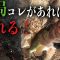 冬〜春【バス釣り】いつも困ったらコレ！【フリーリグ】実釣解説！【ノリーズ】フロントフラッパーカーリー