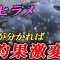 【釣果倍増の極意】春ヒラメはこうやればもっと釣れる！攻略のキモを基礎から徹底解説