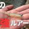 【バス釣り】春にデカバスが釣れるおすすめルアーを投入した結果。。。釣るのが難しい時期だが、狙うポイント、狙い方、攻め方が分かれば、ビッグバスが釣れる時期！【春爆間近】【ミドスト】【ハイロール】