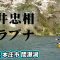 石井忠相のヘラブナ釣り。春の間瀬湖を長竿で堪能する 2/2 『ヘラブナギャラリー 石井忠相×春到来 間瀬湖の桜に酔いしれる』【釣りビジョン】