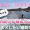 【2005年春】お手軽なサビキ釣りにオススメしたい堤防5選