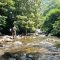 恒例夏の渓流山女魚釣り【北海道 渓流ルアー Hokkaido trout fishing】