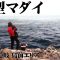 平和卓也が春の磯で大型マダイを狙う 1/2 『磯を駆ける 67』【釣りビジョン】