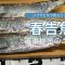 春告魚をジグサビキでニッシング🌸#ジグサビキ #ニシン #海釣り#春告魚