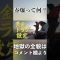 春爆？知らんがな。