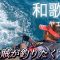 【和歌山ヤエン釣り】GW春烏賊が釣りたくて狙ったのに☆和歌山 #初心者 #アオリイカ#釣り #fishing #海釣り ＃ヤエン釣りが好きなあなたへ  #沖磯 #磯釣り#和歌山南紀 #春烏賊 #笑い