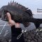 🔥東京タダ釣り革命！舞浜×浦安 クロダイ爆釣聖地｜初心者1時間で箱埋め戦法「クロダイ（黑鲷）、タダ釣り（免费钓鱼）、爆釣、初心者」