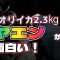 【前編】春アオリイカ　ヤエンが超面白い！