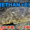 【2025年初・春のヒラメ釣行】北海道日本海に挑む｜DAIWAタックルで狙う一発！