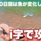 春10日間スモールマウスi字ルアー釣り攻略