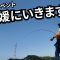 春イカ祭りだ！激熱な愛媛に行きます