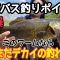 【バス釣り】春のデカバスを狙え！春におすすめのワーム！春爆間違いなし！みんな知ってるこのワームが熱い！関東バス釣りポイント！