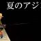 超ショートバイトの夏アジをどう釣るのか。兵庫県で夏アジング 2/2 『アジングへ行こう！ 17』【釣りビジョン】