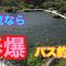 支流なら春爆なバス釣り バスフィッシング スモールマウスバス