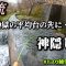 【渓流釣り】北海道の春！新アイテムに入魂！しかし失ったものは大きかった・・・