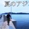 超ショートバイトの夏アジをどう釣るのか。兵庫県で夏アジング 1/2 『アジングへ行こう！ 17』【釣りビジョン】