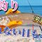 夏日のキス釣り