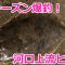 和歌山 ヒラメ・マゴチ釣り 春シーズン開幕