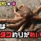 【タコ釣り】堤防タコ釣りで大物を狙うなら春がチャンス！！