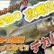 【バス釣り】春の野池でデカバス連発‼︎‼︎マジでこのワーム最強すぎた‼︎春は絶対スローな展開