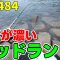 EP.484 南房総穴釣り 夏に人気のヘッドランドで穴釣り