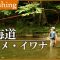 北海道の道東エリアをドライフライで攻略。夏のフライ釣行 2/2 『フライギャラリー』【釣りビジョン】