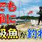 夏の風物詩！メンバーの一番好きな釣りがこれだ！