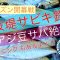 夏シーズン開幕！防波堤サビキ釣り