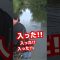 夏の都市型河川デイゲーム攻略