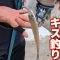 【南知多キス釣り2025】10匹釣るまで帰れません！ちょい投げ＆遠投で爆釣チャレンジ