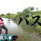 並木敏成が霞ヶ浦のシーズナルパターンを読み解く！夏のバス攻略 2/2 『Osprey’s EYE 54』【釣りビジョン】