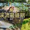 【渓流釣り】夏沢イワナ　山菜ワラビ採り　イワナすごいの食ってたぞｗ