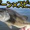 【管釣り】梅雨前の夏日にバス釣り in 浜名湖フィッシングリゾート_2025年6月1日