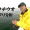 高槻慧がライトタックルで狙う東京湾の夏タチウオ 1/2 『沖釣りギャラリー』【釣りビジョン】